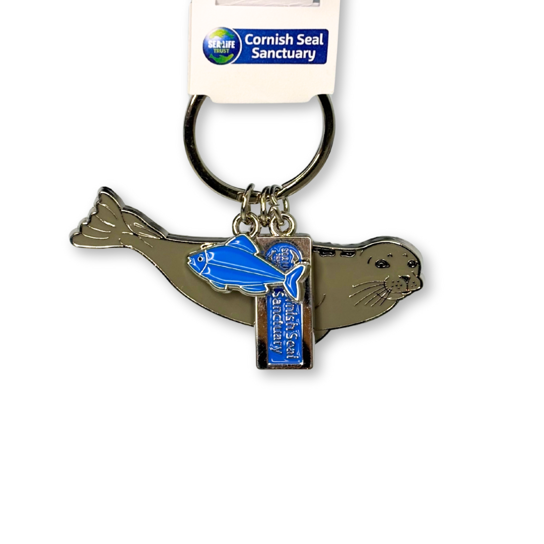 Logo Seal Metal Keyring