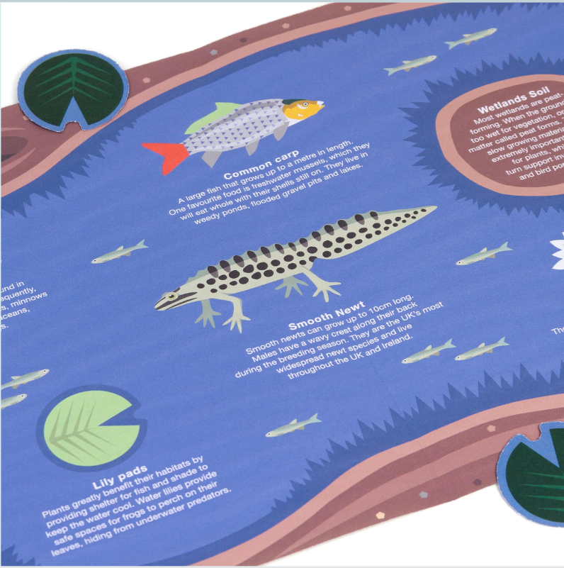 Wetland Wildlife Paper Origami