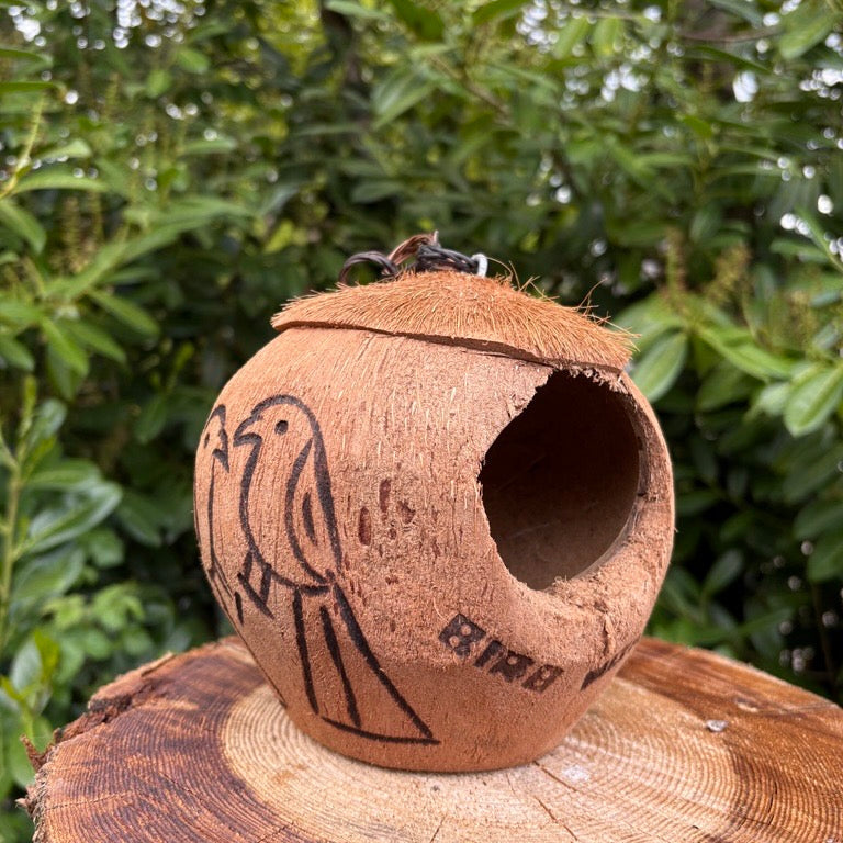 Coconut Bird House