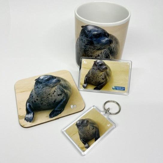Cornish Seal Sanctuary Resident Gift Set