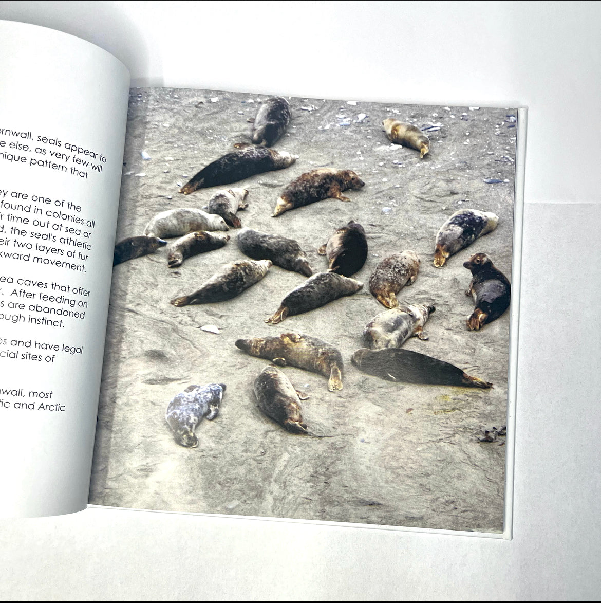 Inspired By Cornwall Book
