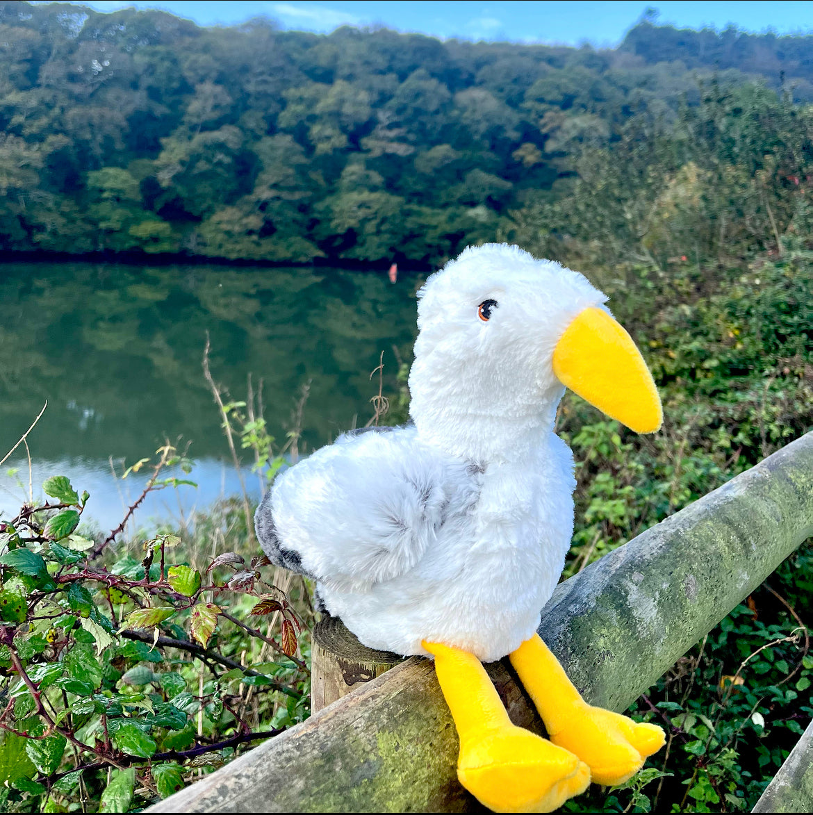 Salty The Eco Seagull