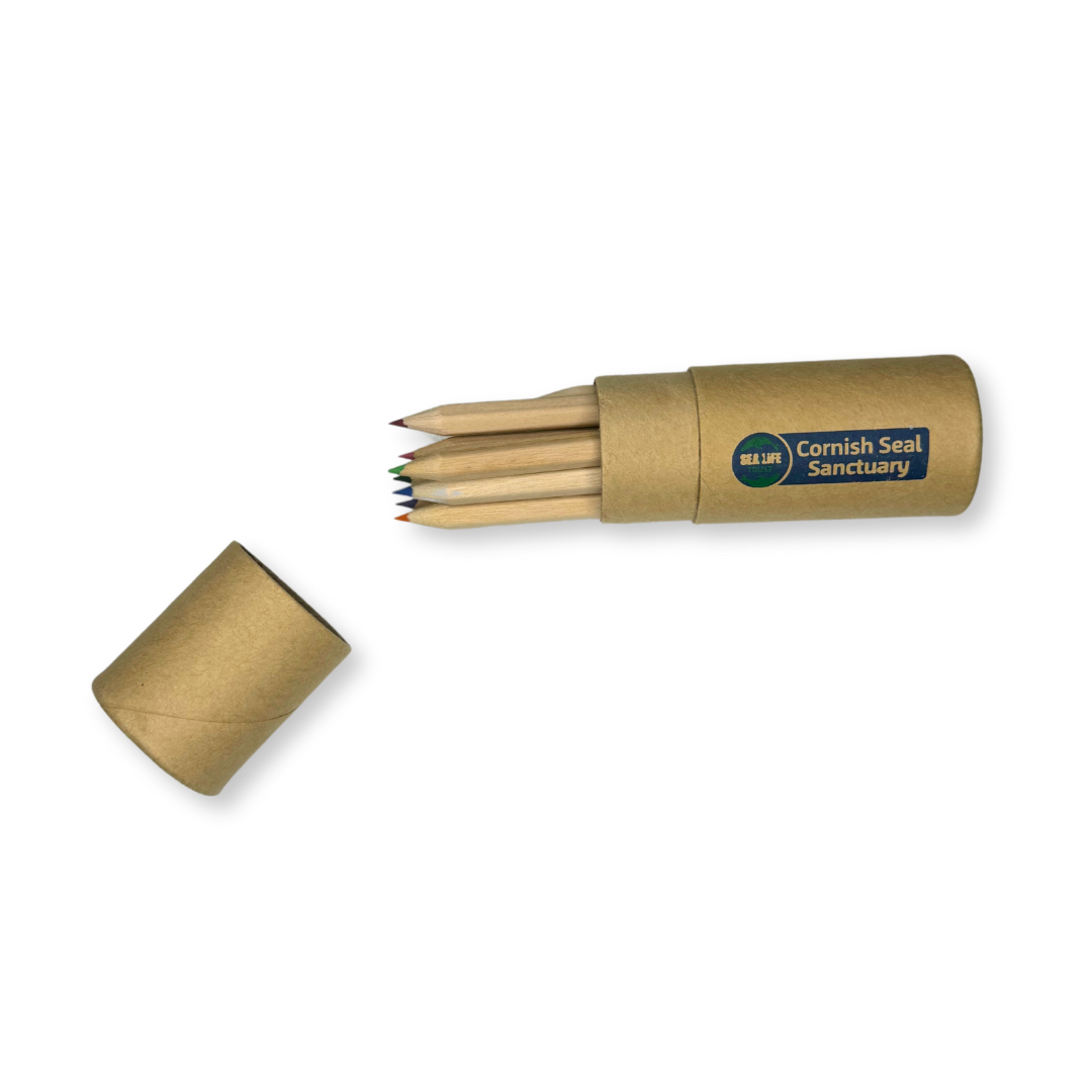 Cornish Seal Sanctuary Pencil Tube