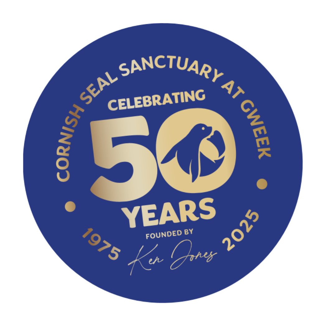 50th Anniversary Sanctuary Car Sticker – Limited Edition