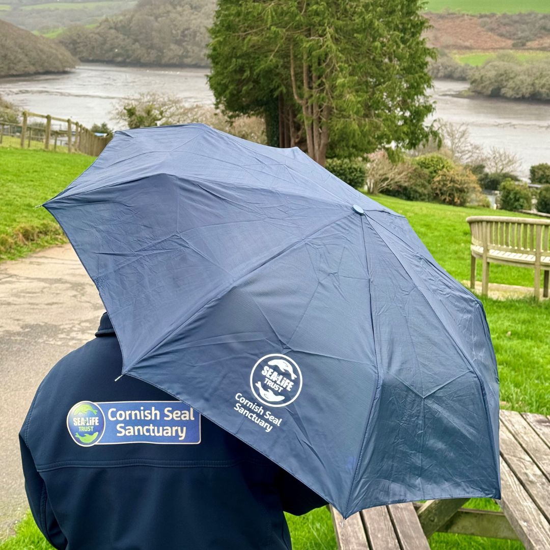 Cornish Seal Sanctuary Umbrella