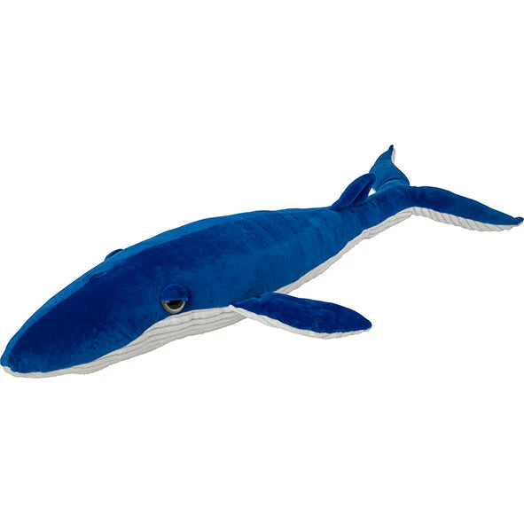 Nature Planet Large Blue Whale