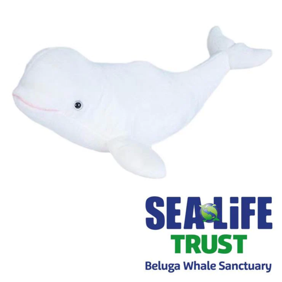 Beluga Plush Cornish Seal Sanctuary