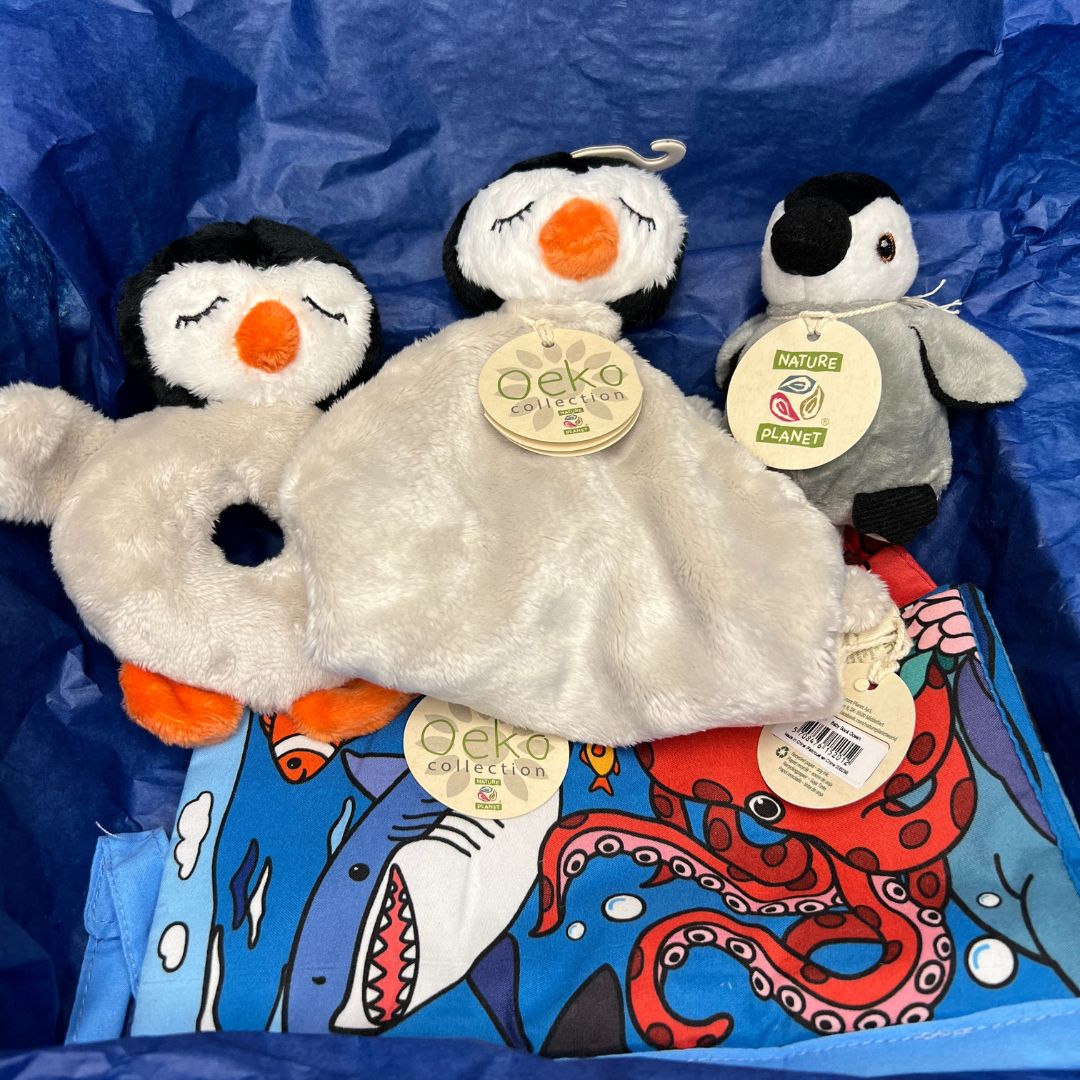 Baby Gift Set