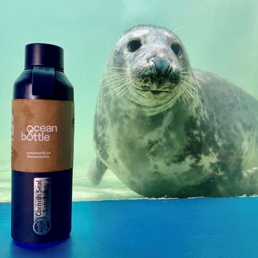 Cornish Seal Sanctuary Ocean Bottle - 500ml
