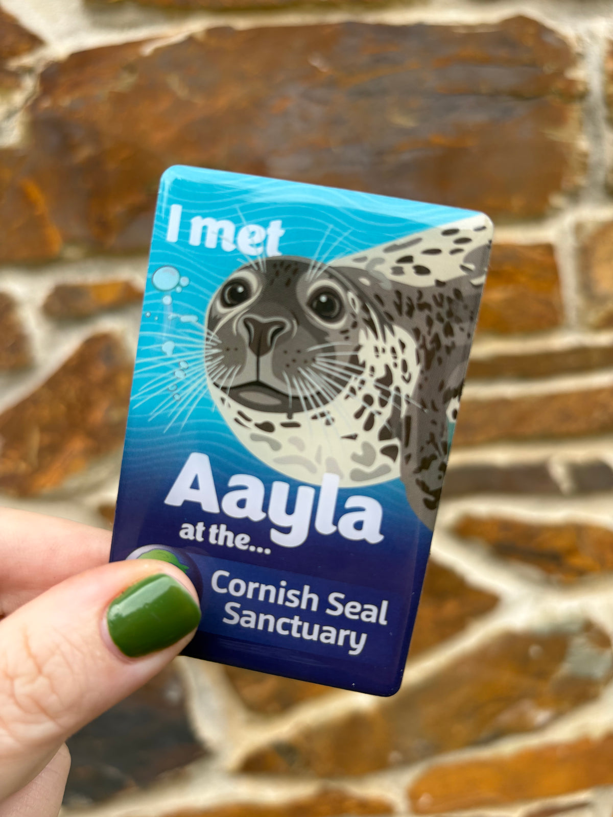 Cornish Seal Sanctuary Resident Magnet