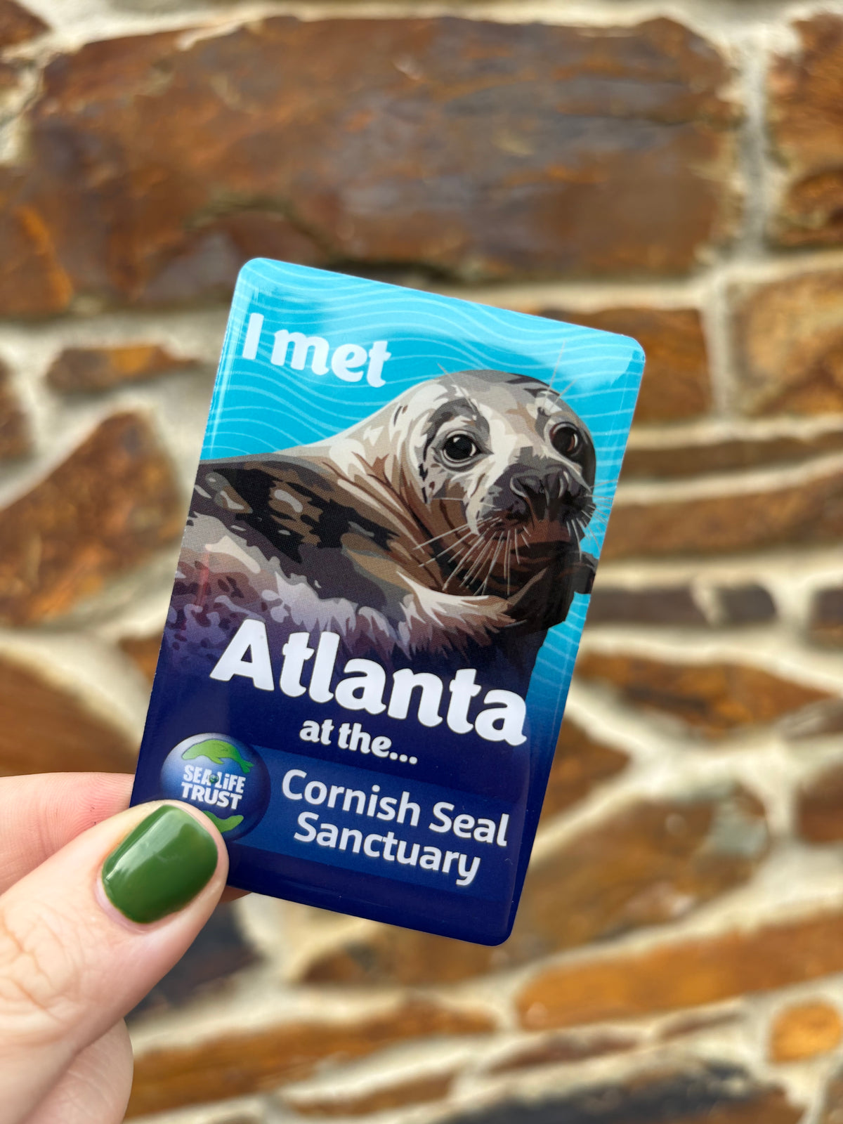 Cornish Seal Sanctuary Resident Magnet