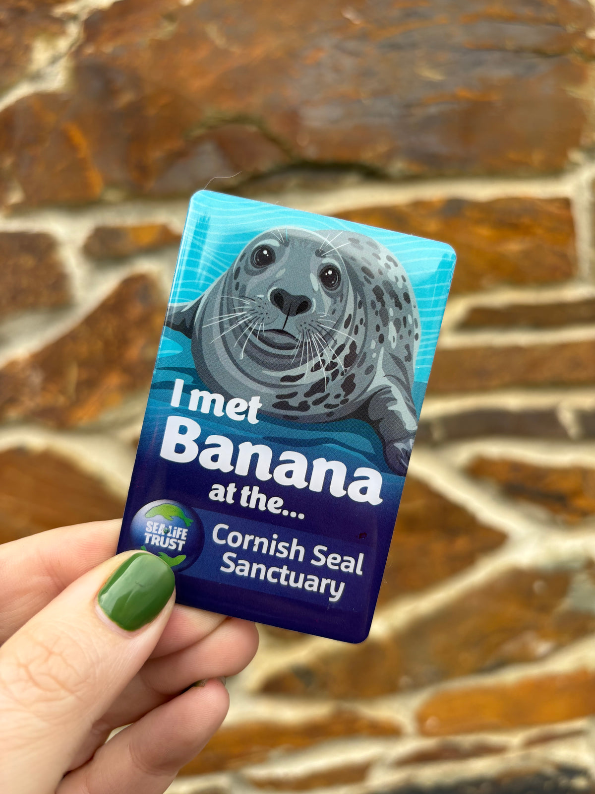 Cornish Seal Sanctuary Resident Magnet