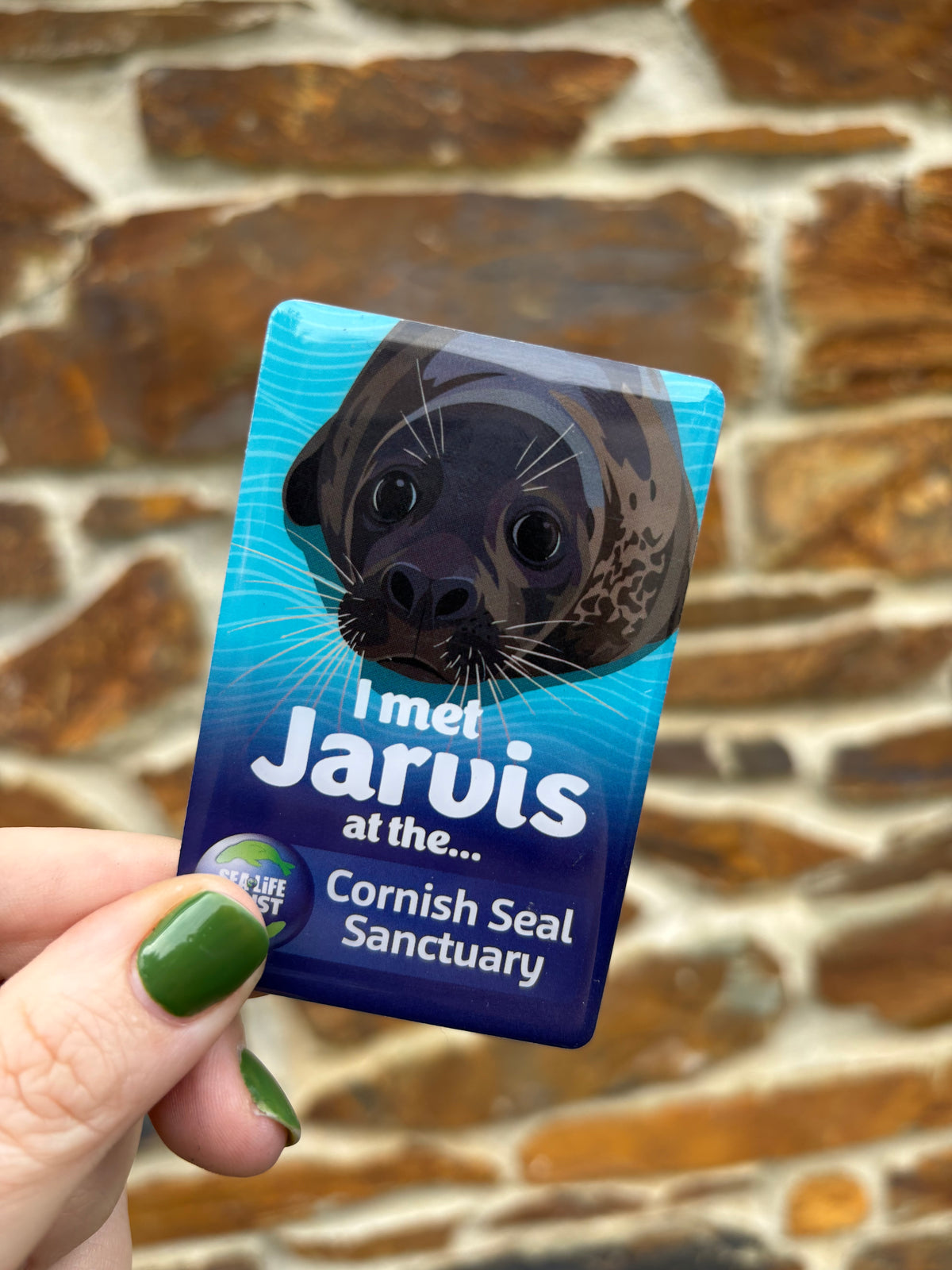 Cornish Seal Sanctuary Resident Magnet