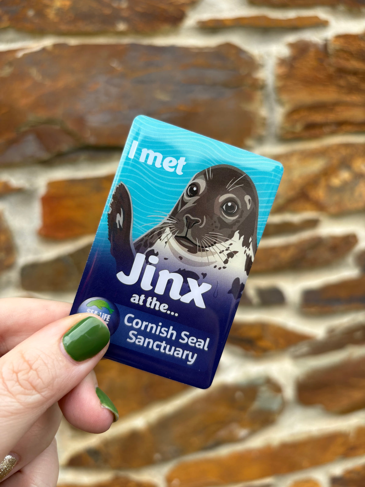 Cornish Seal Sanctuary Resident Magnet