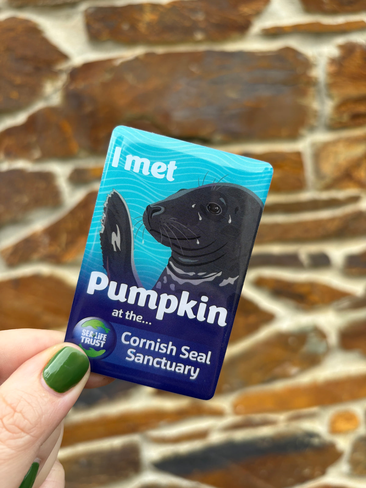 Cornish Seal Sanctuary Resident Magnet