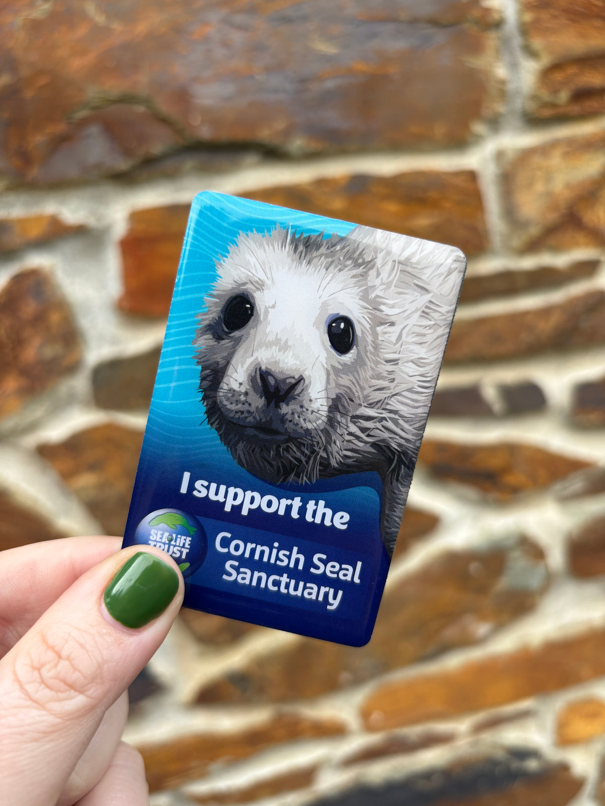 Cornish Seal Sanctuary Resident Magnet