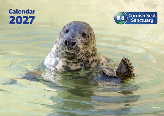 2027 Cornish Seal Sanctuary Calendar