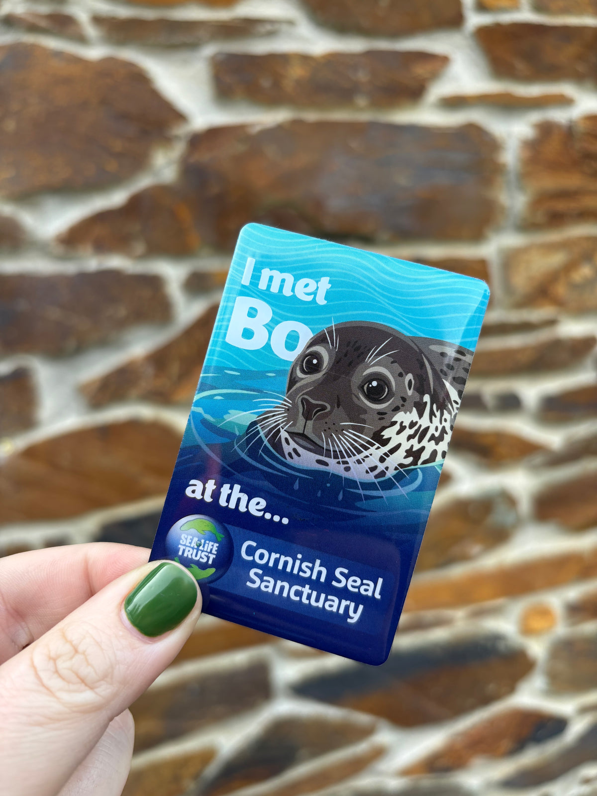 Cornish Seal Sanctuary Resident Magnet