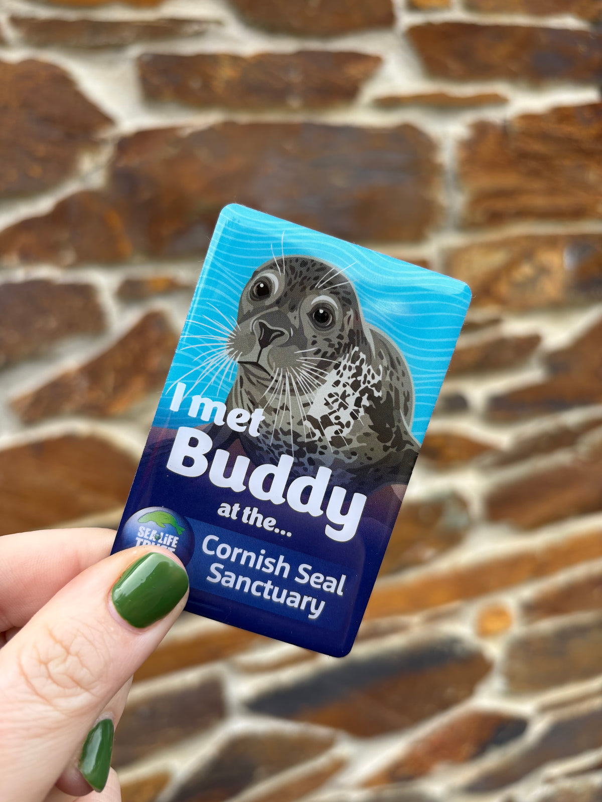 Cornish Seal Sanctuary Resident Magnet