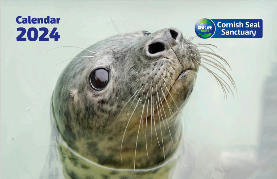 2024 Cornish Seal Sanctuary Calendar