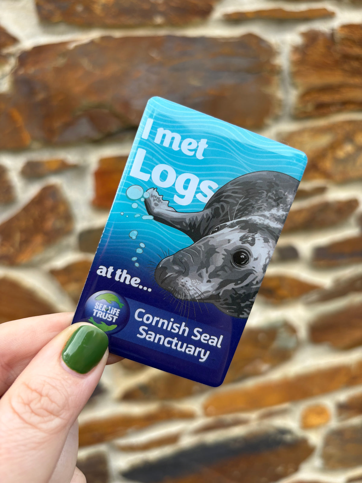 Cornish Seal Sanctuary Resident Magnet