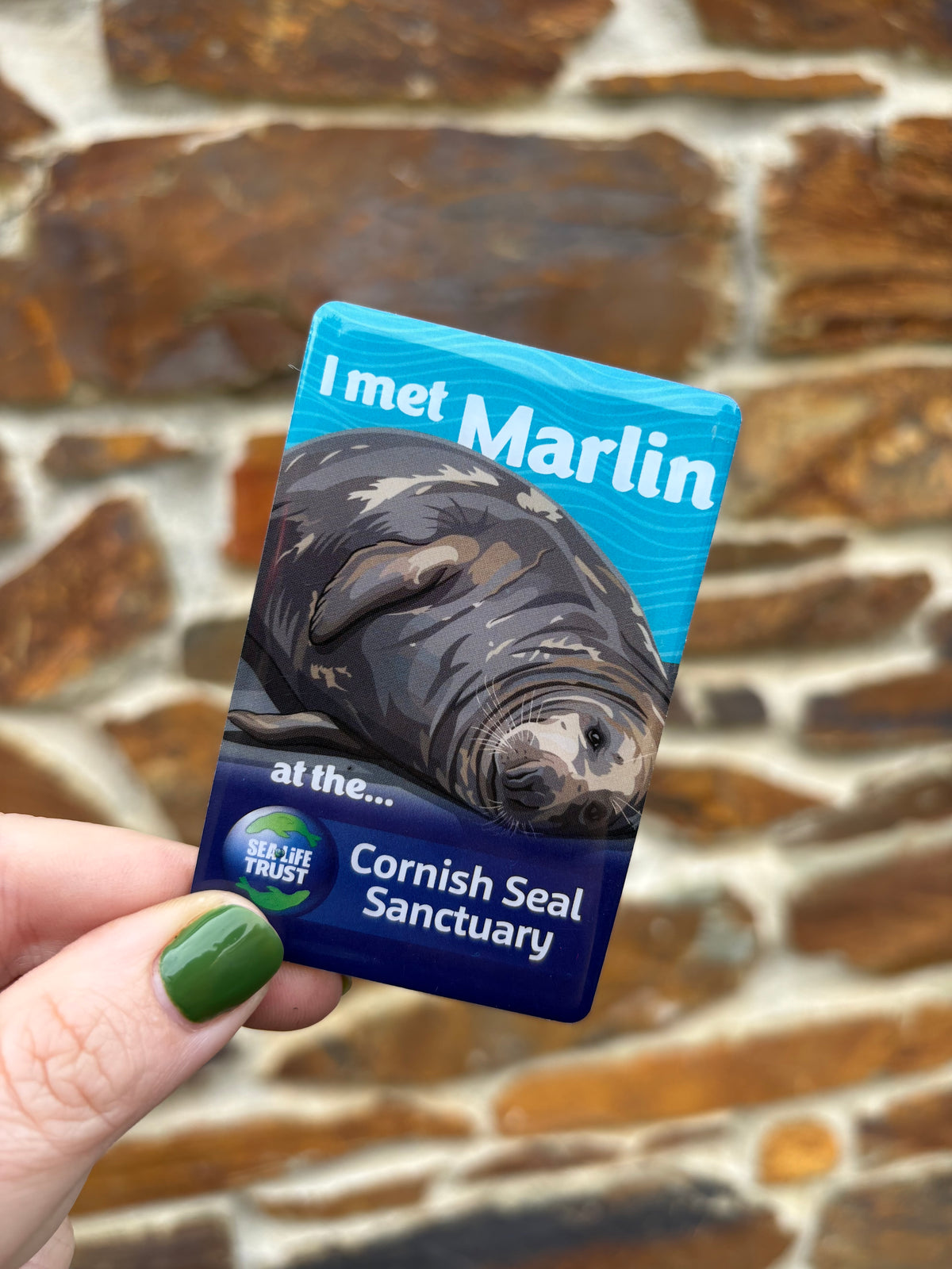 Cornish Seal Sanctuary Resident Magnet