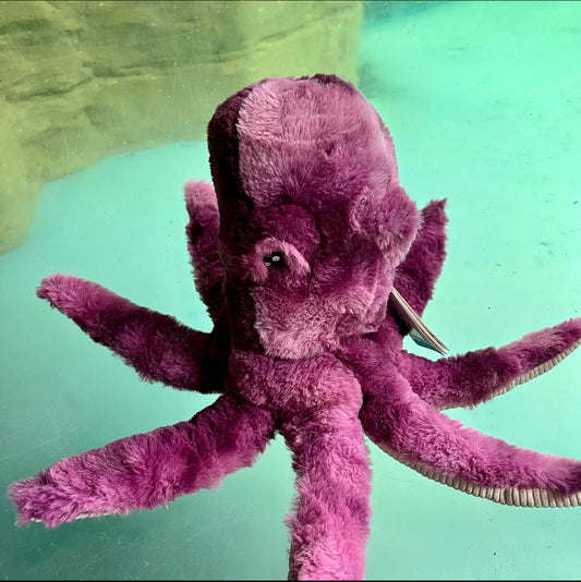 Keeleco Octopus Toy