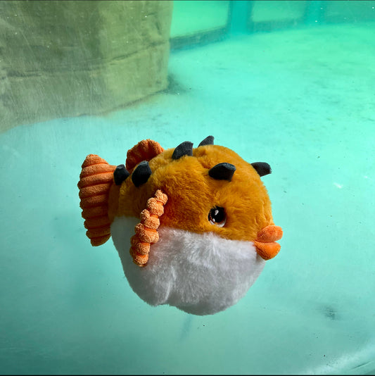 Keeleco Puffer Fish Toy