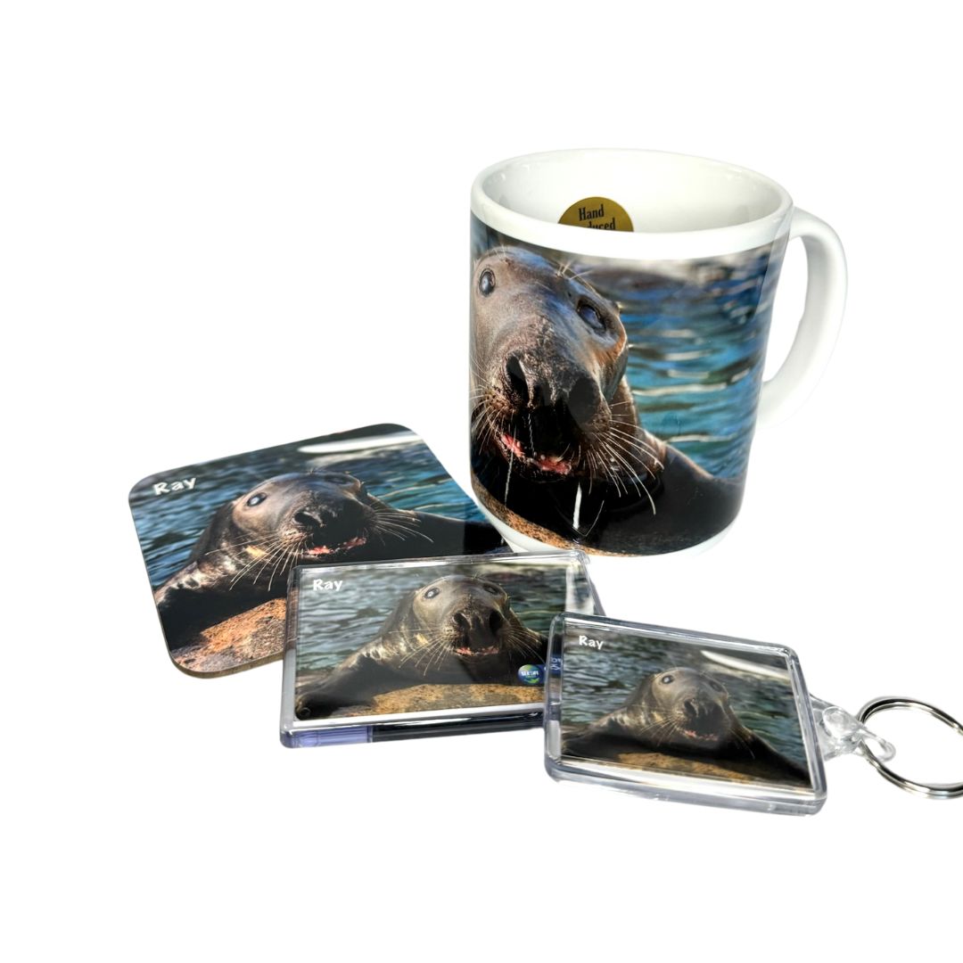 Cornish Seal Sanctuary Resident Gift Set
