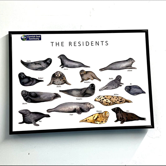 The Residents Print