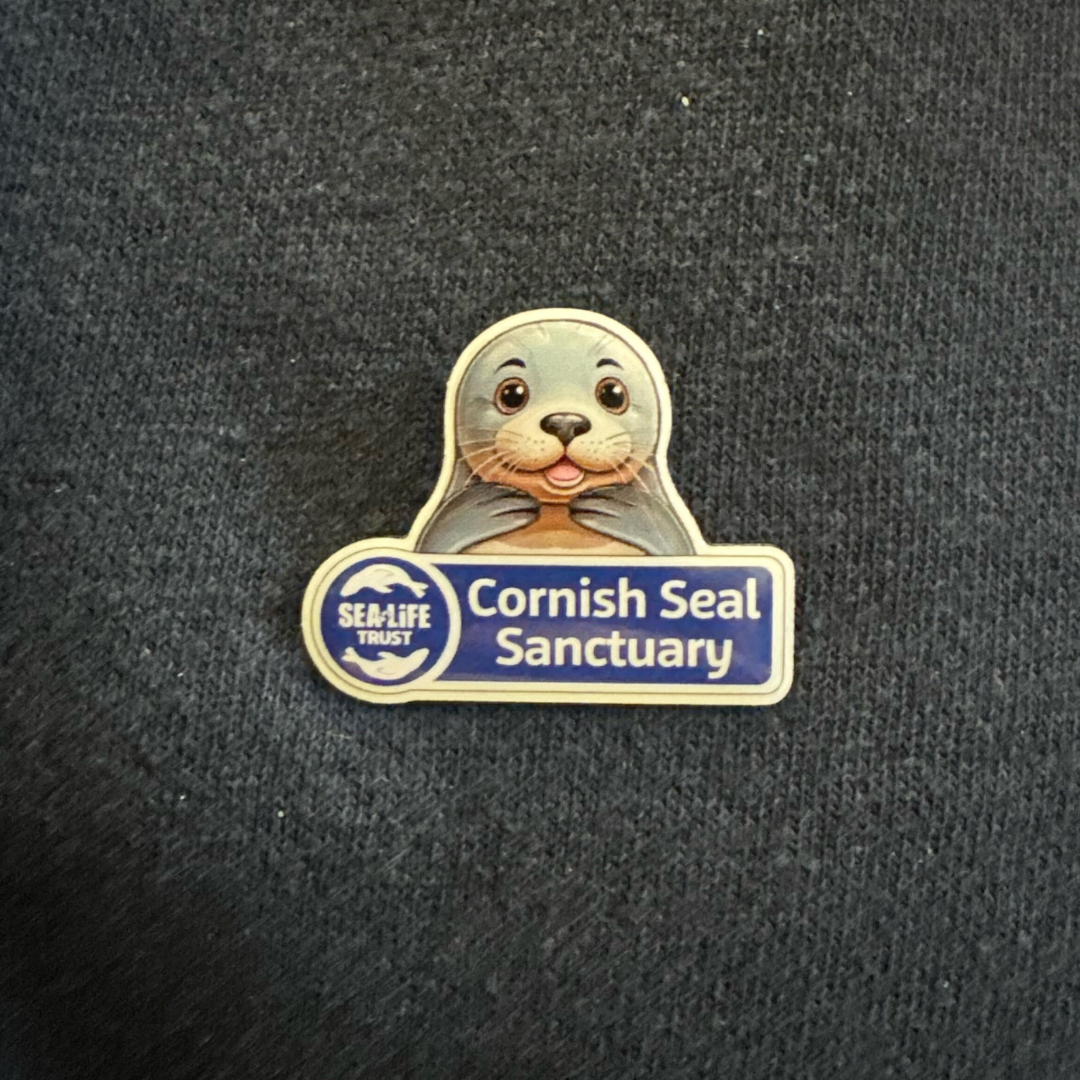 Cornish Seal Sanctuary Pin and Badge Set