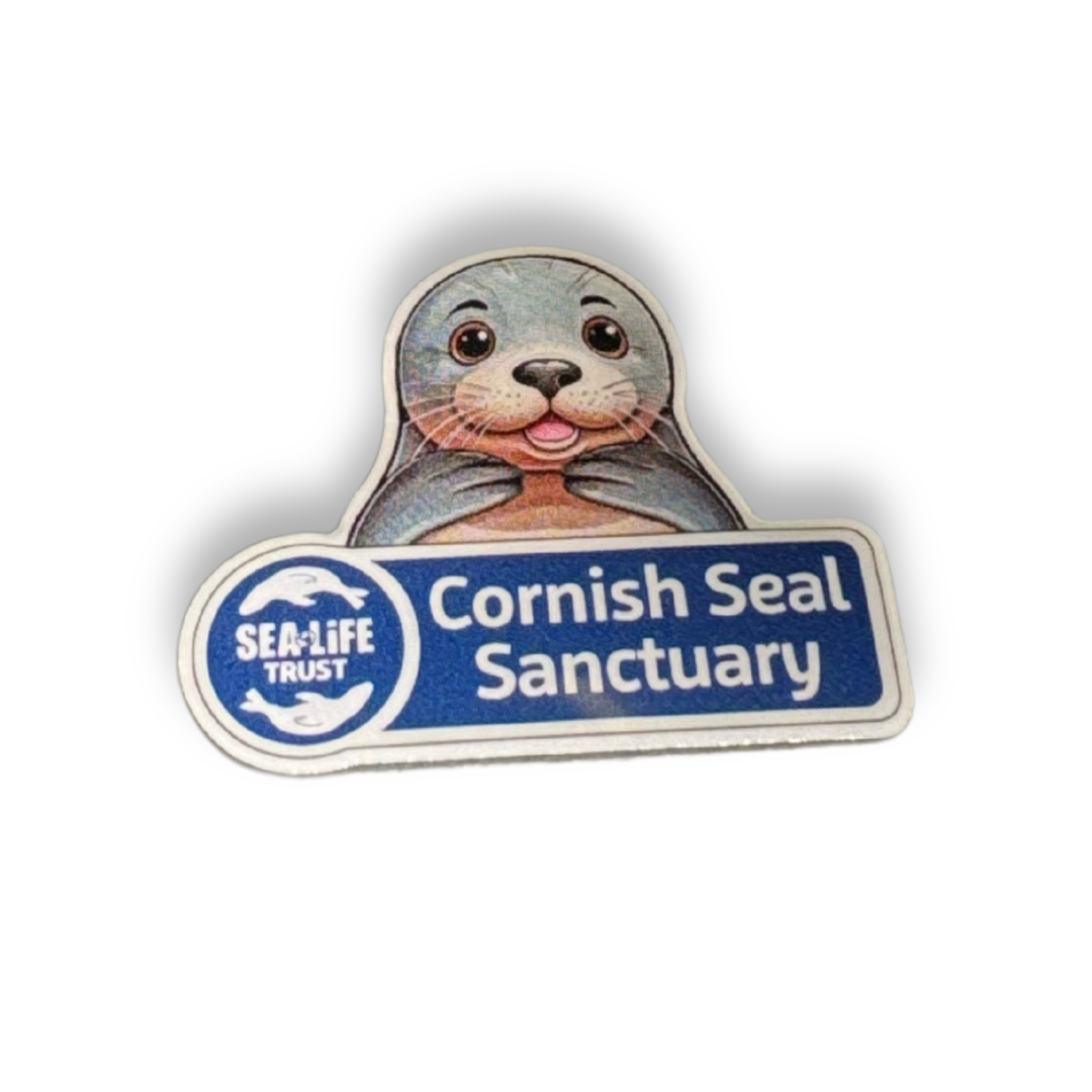 Cornish Seal Sanctuary Pin and Badge Set