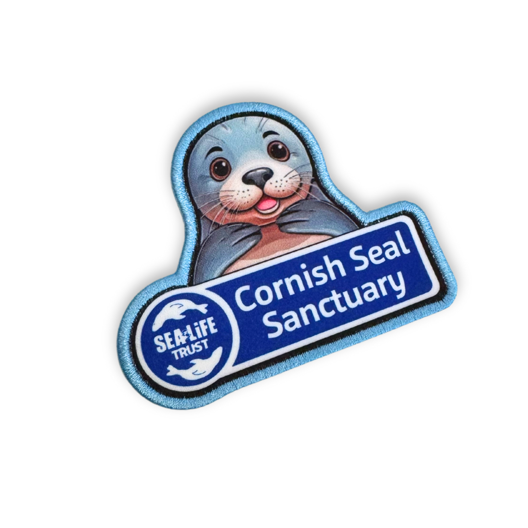 Cornish Seal Sanctuary Pin and Badge Set