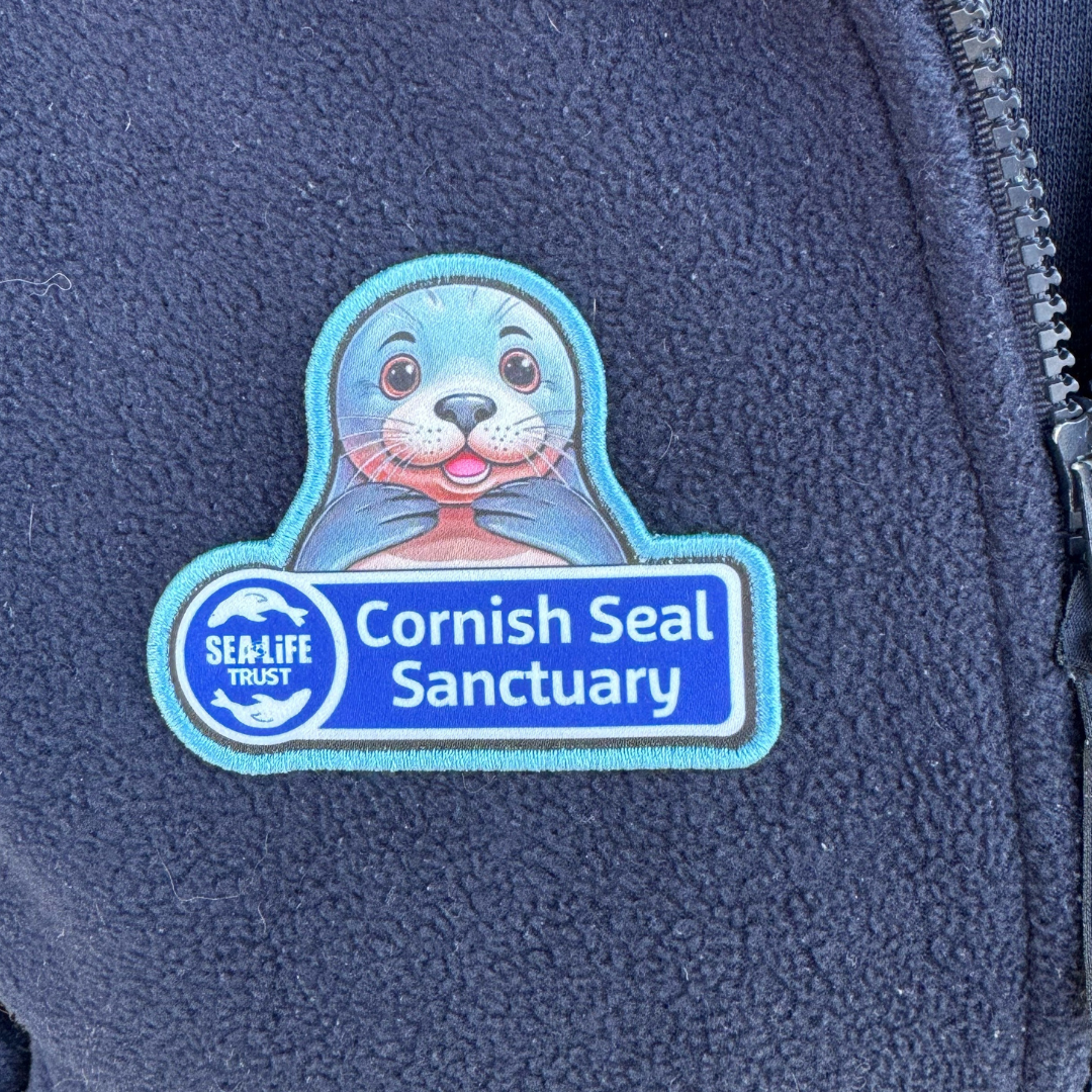 Cornish Seal Sanctuary Pin and Badge Set