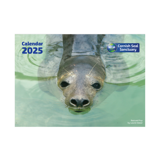 2025 Cornish Seal Sanctuary Calendar