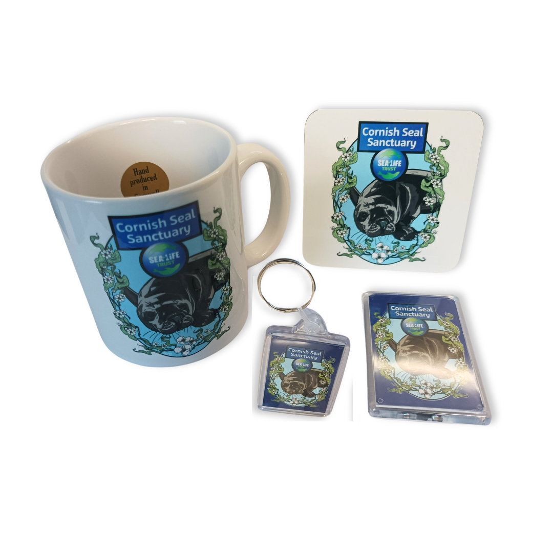 Cornish Seal Sanctuary Souvenir Gift Set