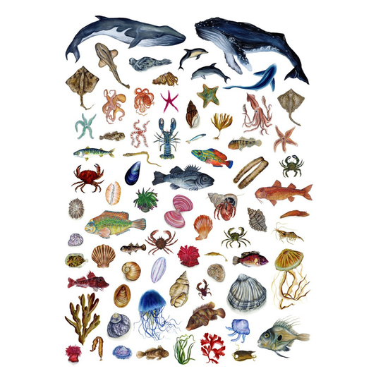 The Ocean Lover's Guide Print