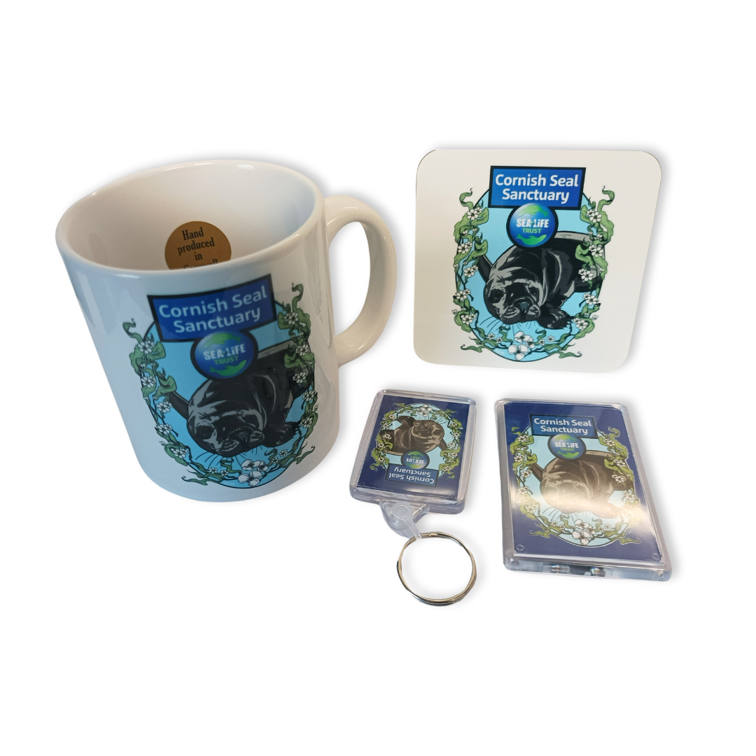 Cornish Seal Sanctuary Resident Gift Set