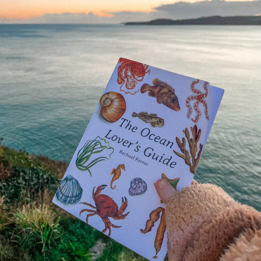 The Ocean Lover's Guide