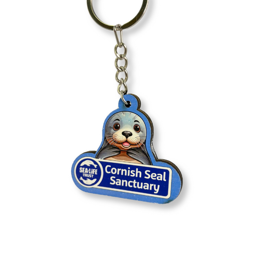 Cornish Seal Sanctuary Keyring