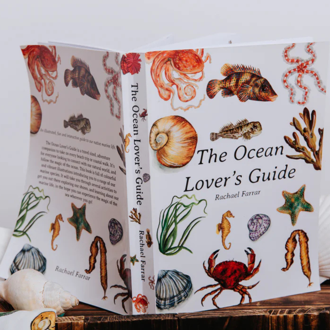 The Ocean Lover's Guide