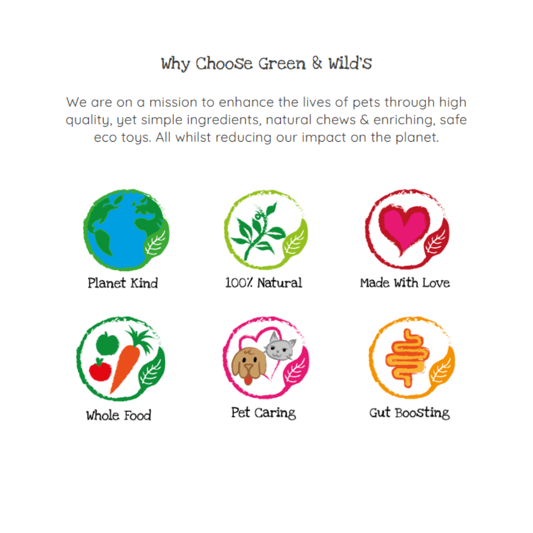 Eco Dog Toy - Olive the Octopus