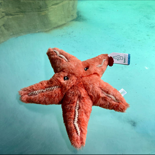 Keeleco Toy Starfish
