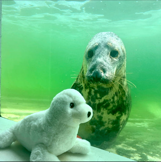 Keeleco White Seal Pup Toy