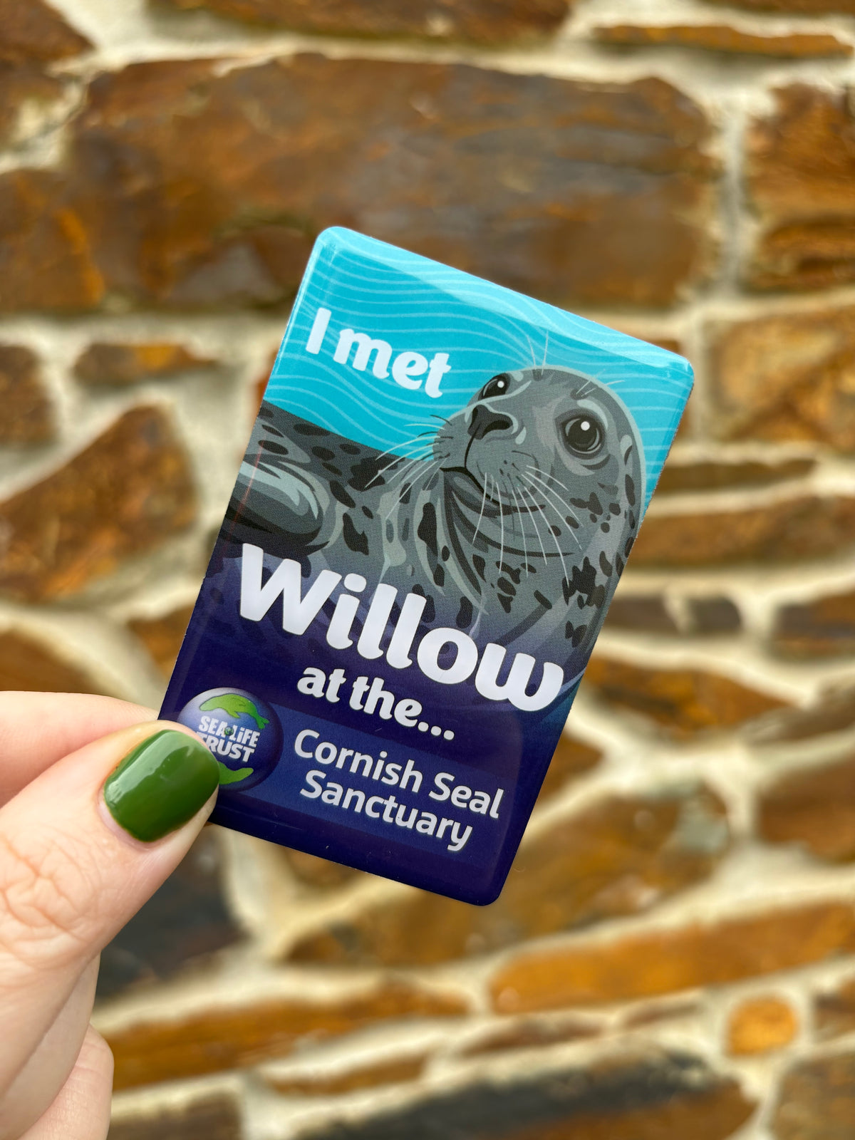 Cornish Seal Sanctuary Resident Magnet